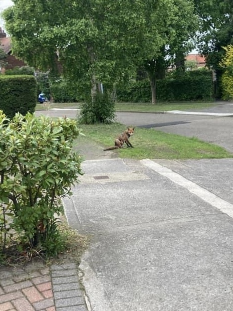 B1E9AFF5-EE03-4252-8C3E-E77557F0A122