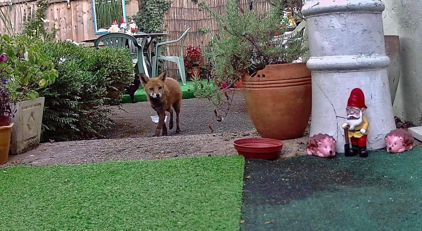 D2FB000D-F533-4471-A42E-71ACD3F81142