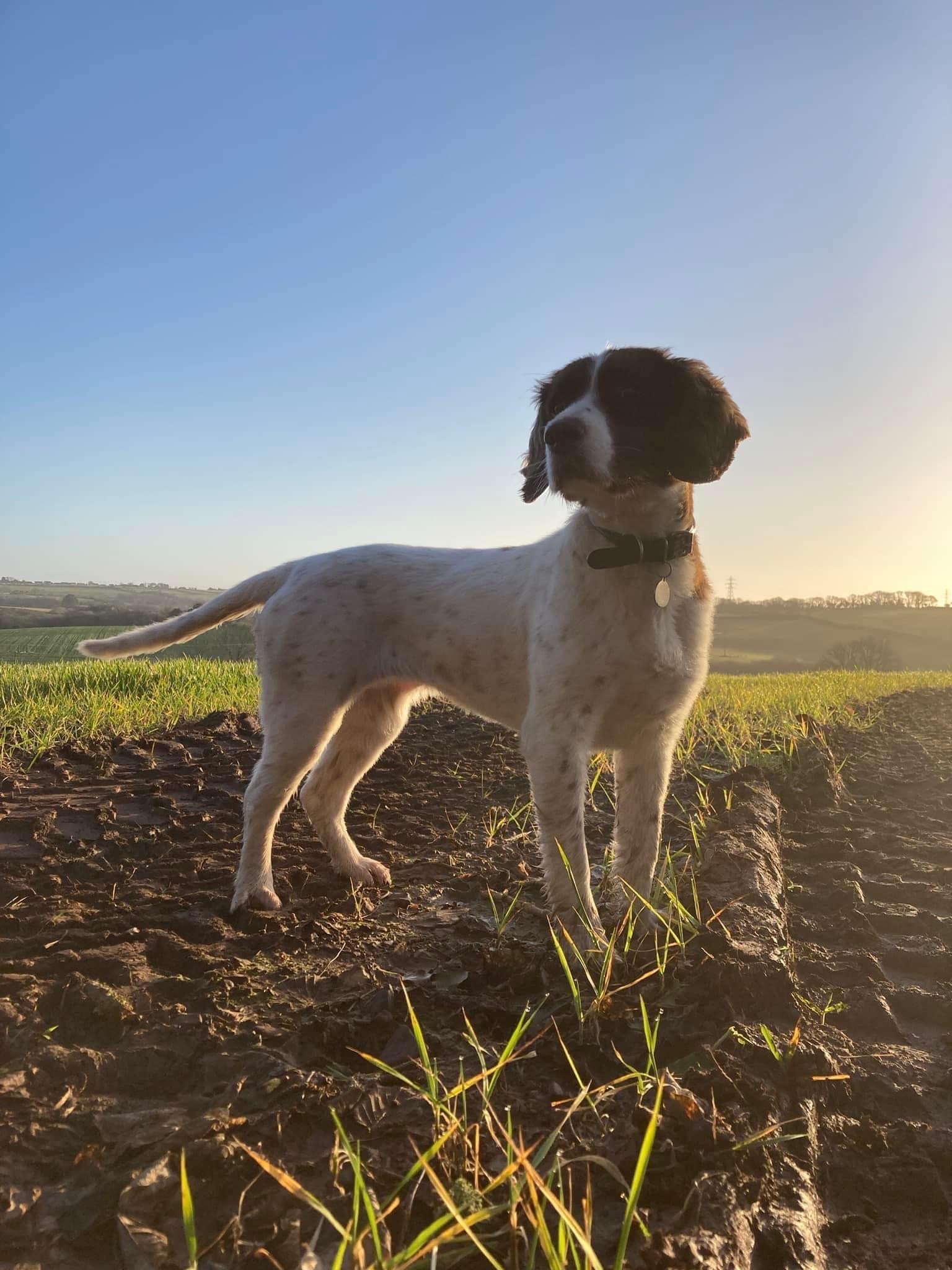 956A1CA5-F35A-4B53-8FA0-CE9D9A743BA0