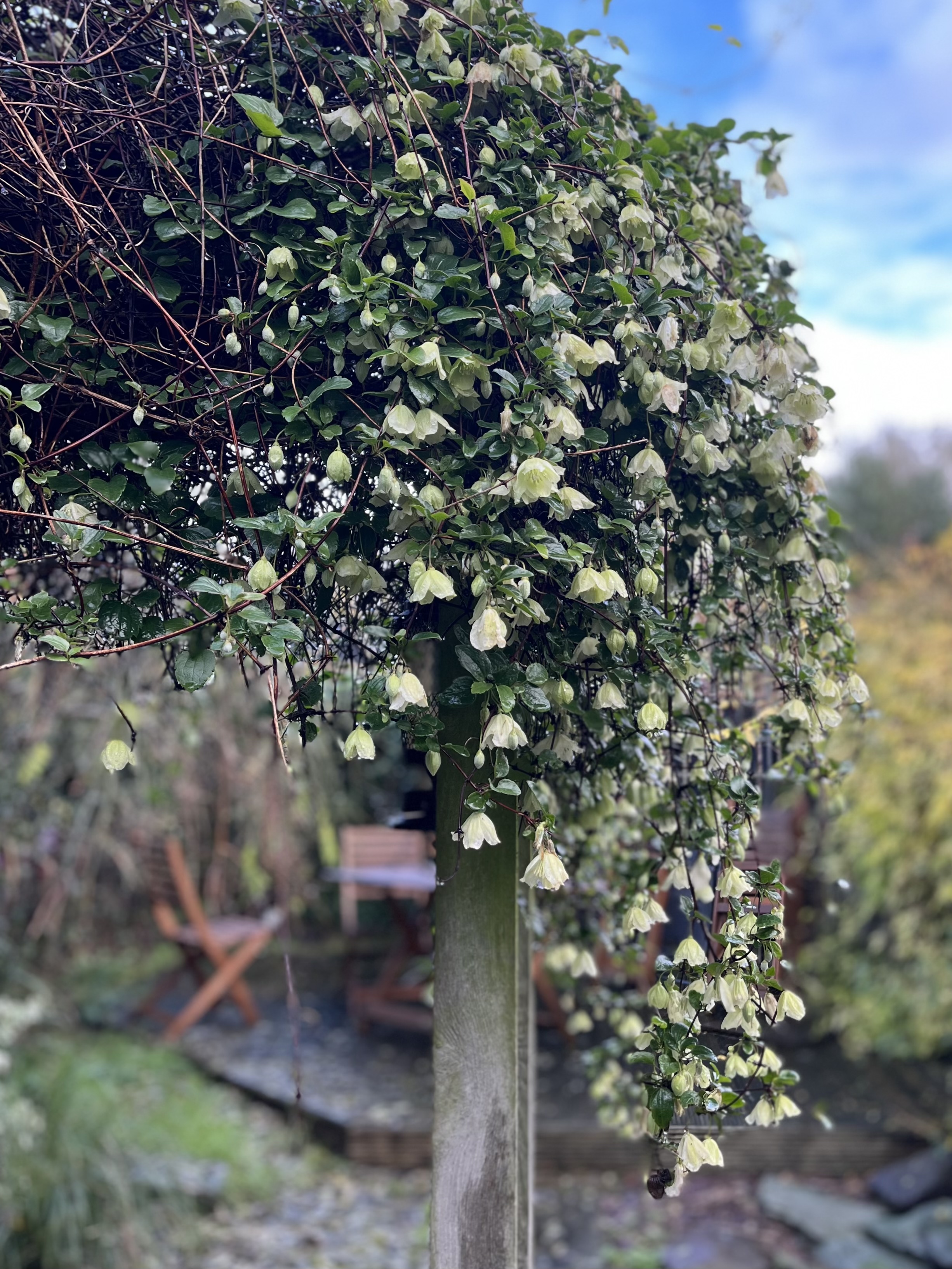 A8703957-3405-428D-AE93-0FF817FE7F0F