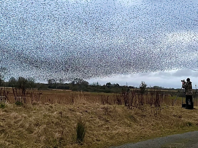 13EBFB1B-5DEC-4E43-AAF3-B3C5D99D3F17