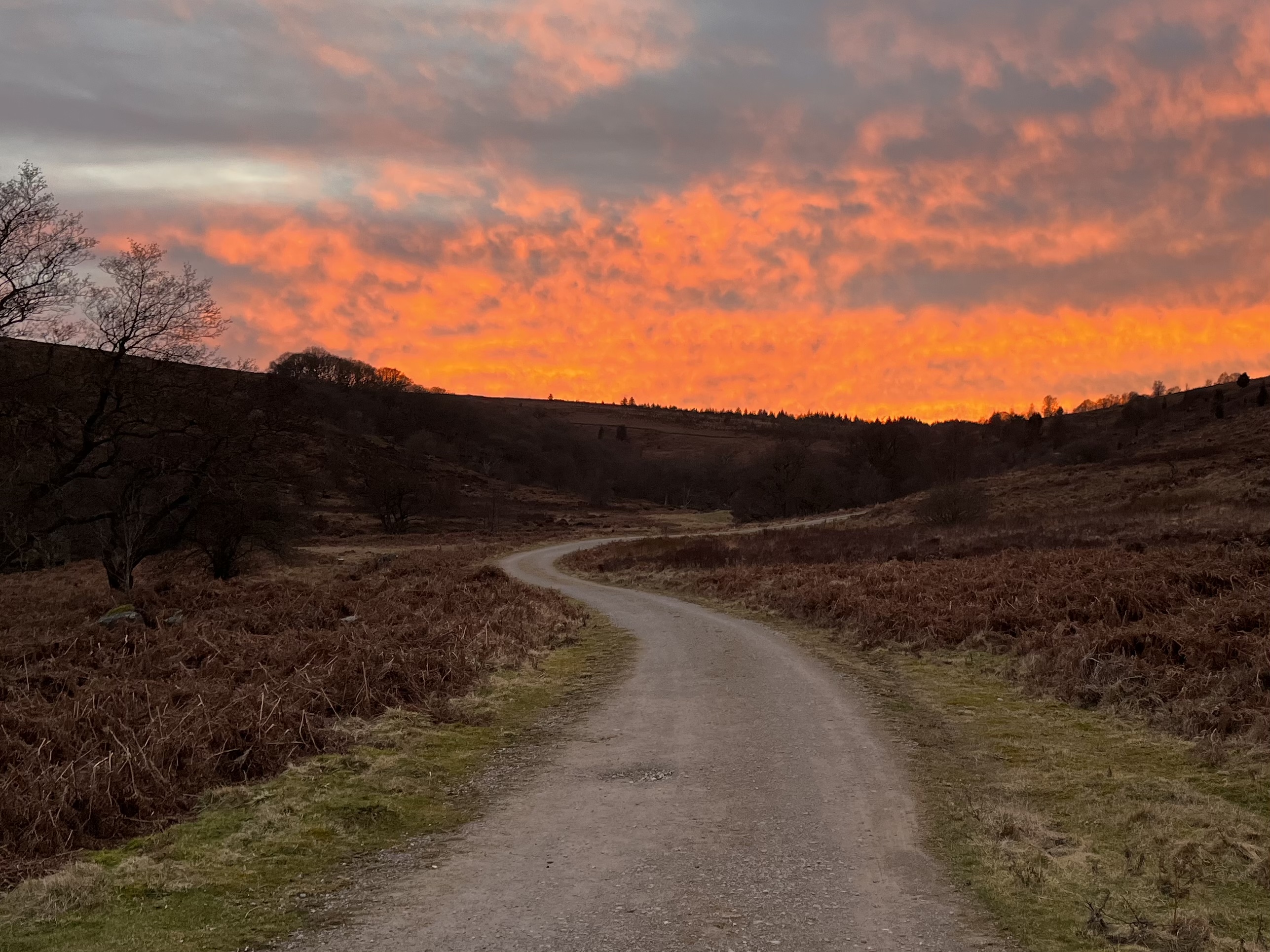 1AEC0203-0410-4B06-AF2B-28E34E34ECB8