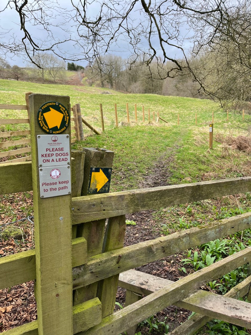 5F1EB9C6-750F-4799-B14D-F171AD5D722F