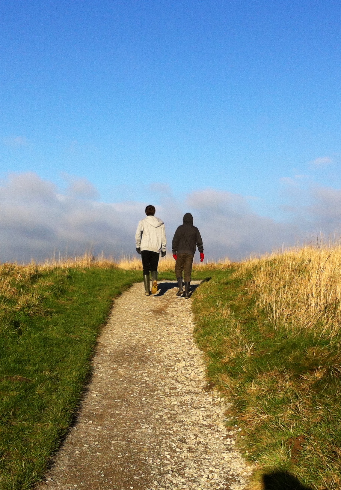 A0C69DB8-C839-42D4-B3FF-1BCB902E0992